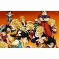 Dragon Ball Z: The Complete Seasons 1-9 [54-Disc DVD Collection} - DVD Family bucket