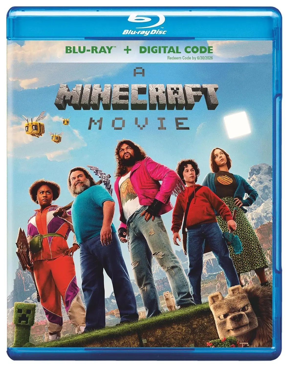 A Minecraft Movie (Blu-ray) DVD Family bucket