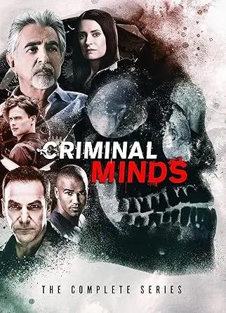 Criminal Minds: The Complete Series DVD Family bucket