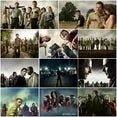 The Walking Dead Complete Series Season 1-11 [DVD] (Valhalla Entertainment) DVD Family bucket